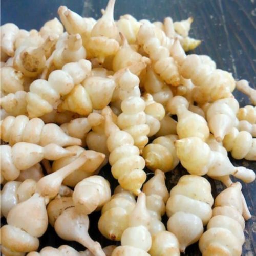 Photo de: Crosnes